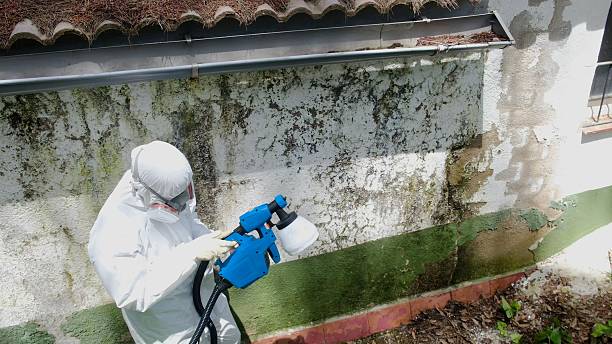 Trusted Bathroom Mold Removal service in Troutville, PA - Cheap Mold Removal
